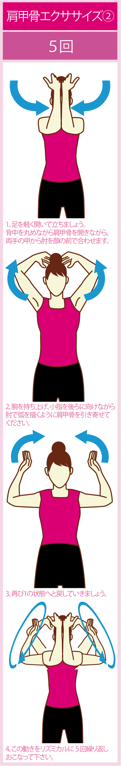 肩甲骨の可動域を広げるエクササイズ2