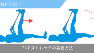 pnfストレッチ