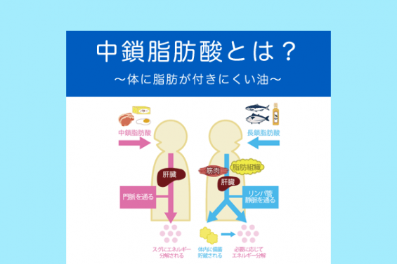 中鎖脂肪酸とは？体に脂肪が付きにくい油 ダイエットなら美wise！